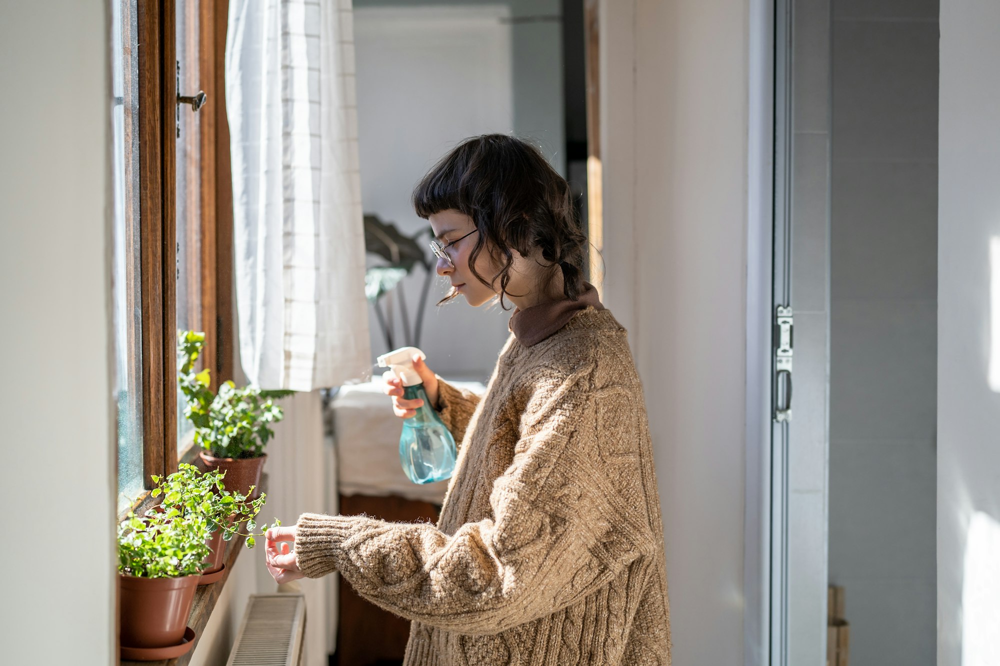 Freelance gardener girl take care of houseplant in home garden. Caring florist spraying water leaves